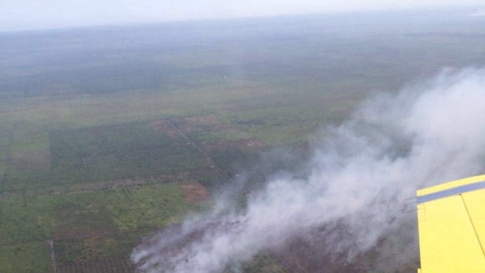 Citra satelit yang menunjukkan lokasi kebakaran hutan dan lahan