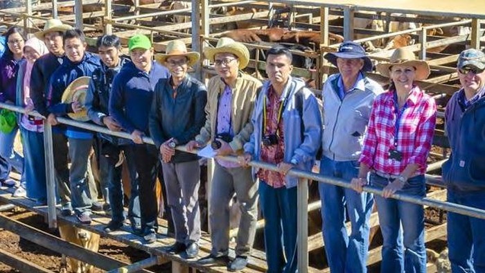 Australia Beri Beasiswa Kursus Bisnis Bagi Warga Indonesia