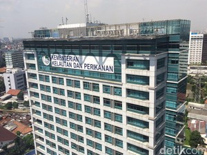 KKP Larang Keras Ikan Berformalin, Produk Langsung Ditarik!