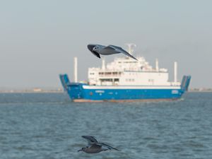 Pentingnya Pemisahan Alur Laut Selat Sunda & Lombok bagi Perairan RI