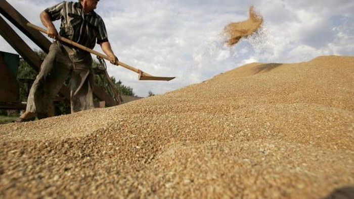 Impor Gandum Naik Hampir 1.000%, Terbesar dari Ukraina