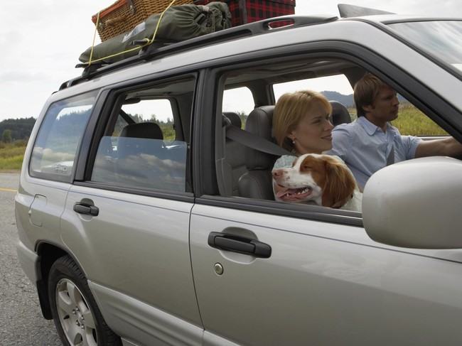  Ngantuk  Saat Menyetir? Ikuti Tips Ini