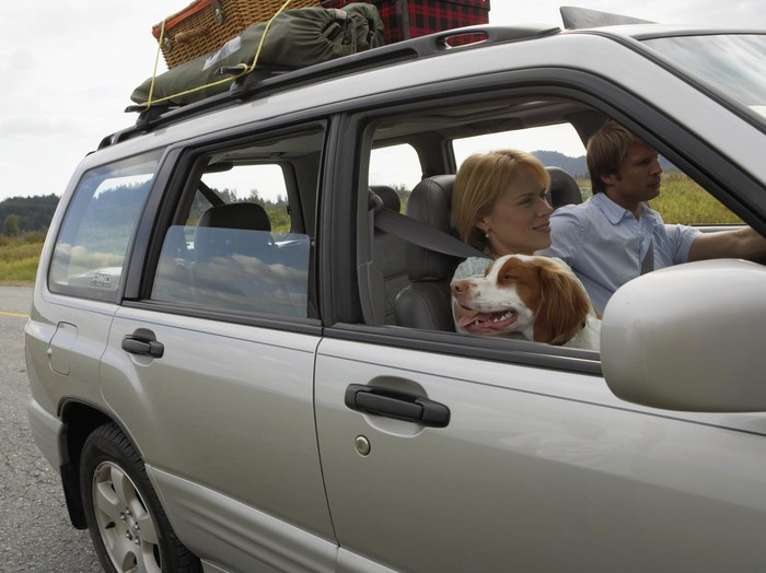 Mudik Naik Mobil, Jangan Lupa Istirahat dan Bawa Sopir Cadangan