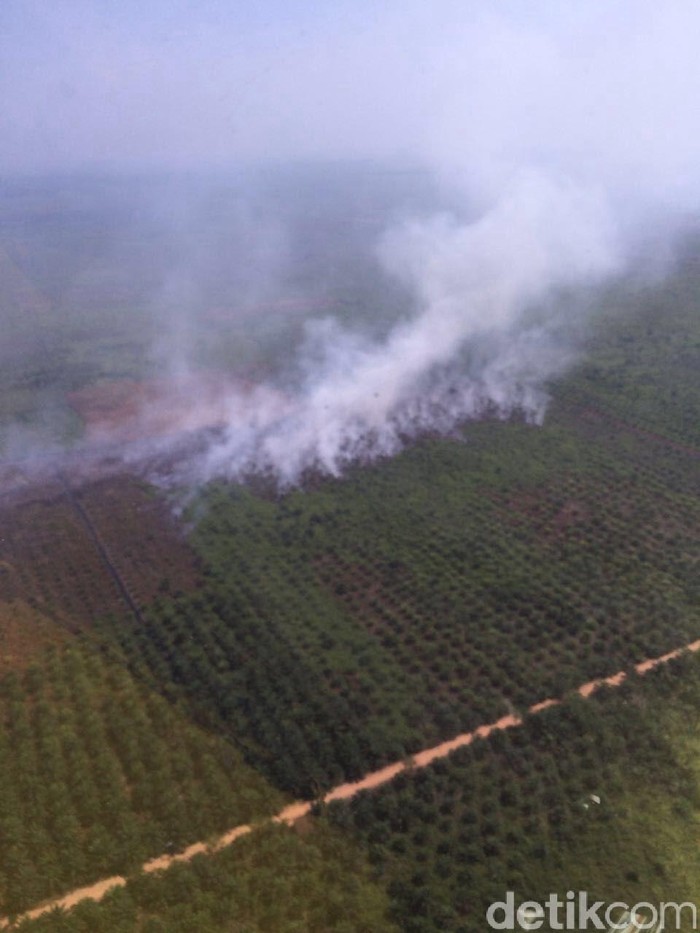 SP3 Kasus Karhutla Dipertanyakan, Begini Respons Kapolda Riau