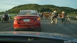 Sensasi Mengendarai Mazda di 3 Negara ASEAN