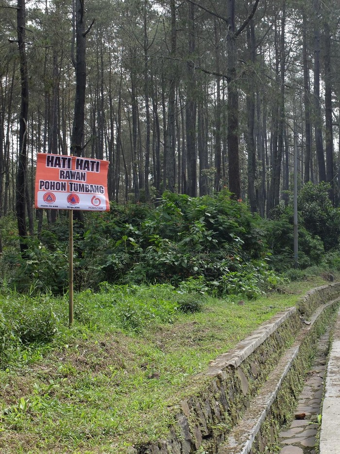 Ada Pohon Tumbang, Lalin Tersendat di KM 125 Tol Padalarang