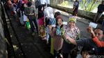 Panjangnya Antrean Daging Rp 39 Ribu/Kg