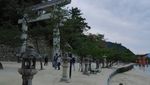 Pulau Miyajima: Dari Gerbang Terapung Sampai Rusa Liar