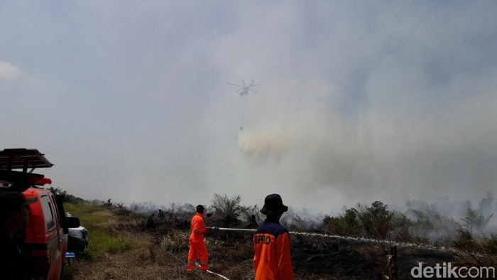 BPPD: Kebakaran Lahan di Riau Lebih dari 1.300 Hektare