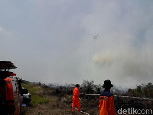 Satgas Pencegahan Karhutla  Segel Lahan yang Terbakar di Riau
