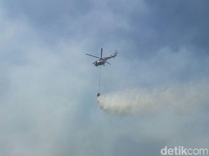 BNPB Minta Satgas Karhutla untuk Lakukan Mobilisasi Udara