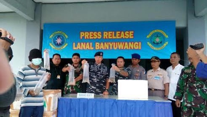 Penyelundupan Puluhan Ribu Benih Benur yang Diekspor ke Luar Negeri Digagalkan