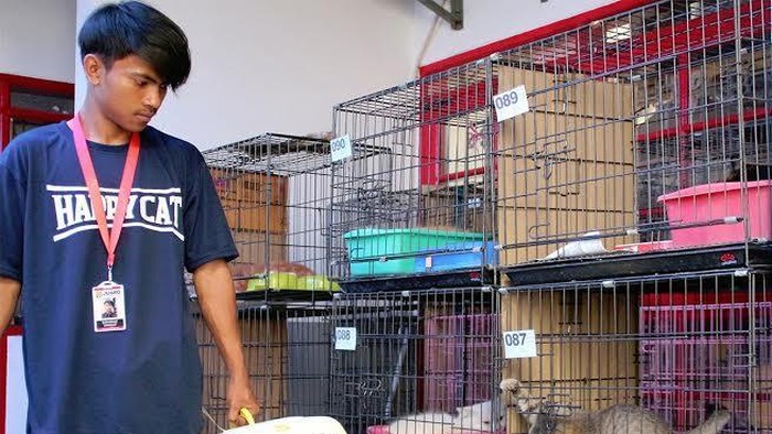 H-4 Lebaran, Permintaan Jasa Penitipan Hewan di Bandung Menggeliat