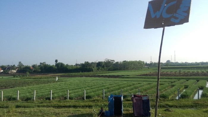 Pentingnya Toilet Saat Terjadi Macet Horor di Jalur Mudik