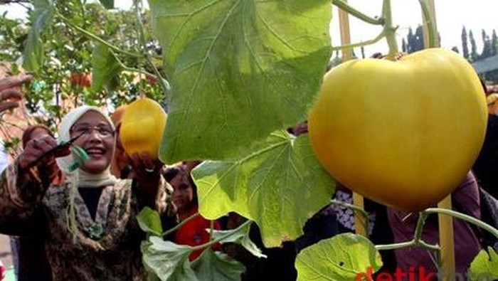 Aneka Acara Seru Meriahkan Libur Lebaran di Mekarsari