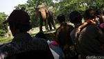 Libur Lebaran, Ragunan Dipadati Pengunjung