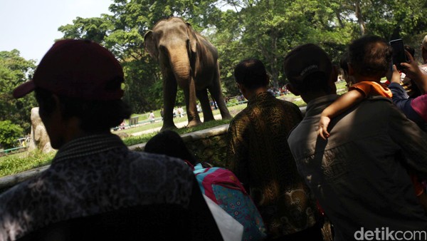 Libur Lebaran, Ragunan Dipadati Pengunjung