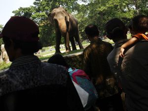 Libur Lebaran, Ragunan Dipadati Pengunjung