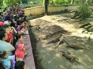 Kata Pengelola Wisata di Surabaya Terkait Kebijakan Boleh Lepas Masker