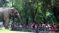 Pengunjung tampak memadati kawasan kandang gajah di Taman Margasatwa Ragunan. 