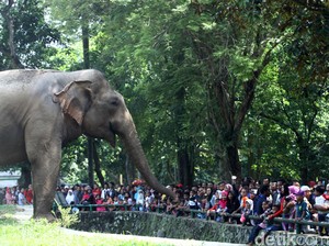 Lebaran, Polisi Perketat Pengamanan di 3 Lokasi Wisata di Jakarta