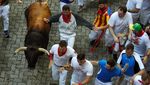Berlari Bersama Banteng di Festival San Fermin