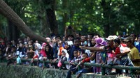 Hingga pukul 15.00 WIB, jumlah pengunjung yang datang ada 104.534 orang. Meningkat jauh dibanding kemarin yang ada 29.441 pengunjung, ujar Humas Kebun Binatang Ragunan, Wahyudi Bambang. 