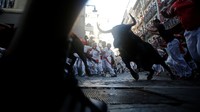Banteng dilepas dijalanan yang dipenuhi pengunjung. Vincent West/Reuters/detikFoto