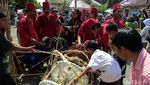 Rebutan Gunungan Grebeg Syawal Kraton Yogyakarta