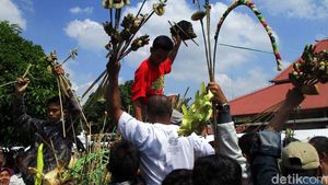 Rebutan Gunungan Grebeg Syawal Kraton Yogyakarta