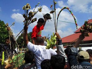 Rebutan Gunungan Grebeg Syawal Kraton Yogyakarta