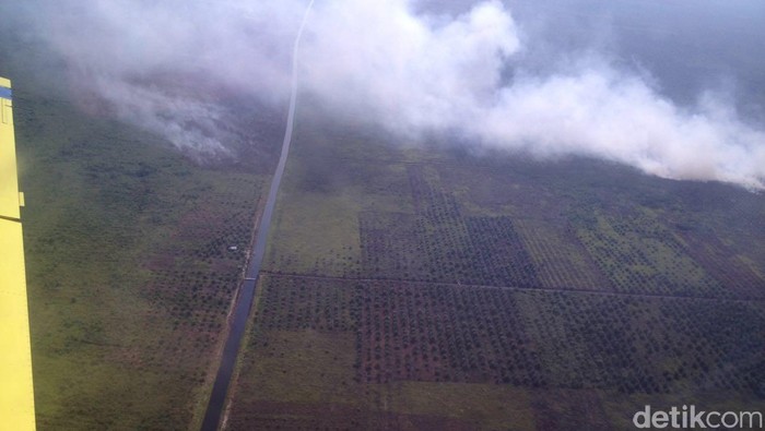 Kebakaran Lahan Kian Meluas di Riau, Satgas Udara Lakukan Water Bombing