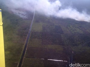 Kebakaran Lahan Kian Meluas di Riau, Satgas Udara Lakukan Water Bombing