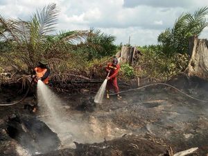BPBD Riau: Kebakaran 15 Hektar Lahan di Siak Berhasil Dipadamkan