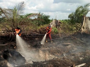 Kebakaran Lahan, Kepala BNPB: Penambahan Pasukan ke Riau Segera Dilakukan