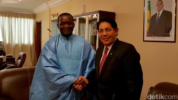 Mendag Senegal Undang RI Investasi di Industri Kelapa Sawit