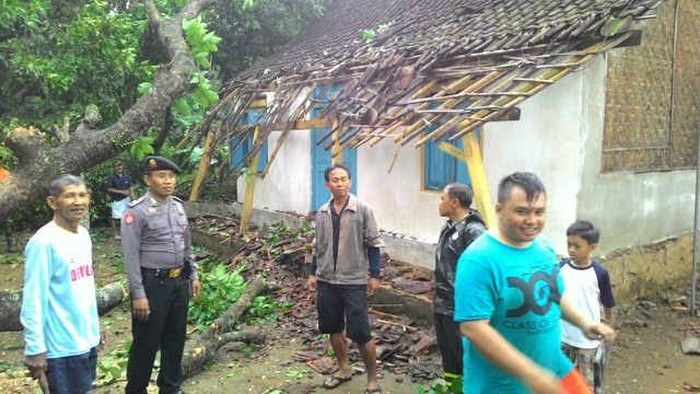 Puting Beliung Robohkan Puluhan Pohon di Blitar