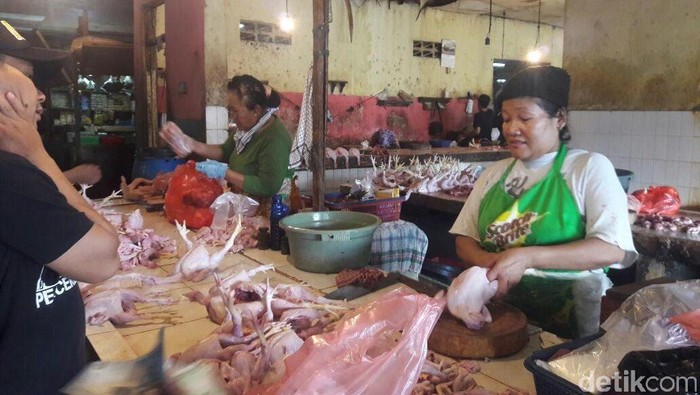 Meski Harga Masih Tinggi, Ayam Potong Tetap Laris