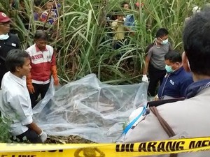 Identitas Mayat Perempuan di Kebun Tebu Seorang Pemandu Lagu