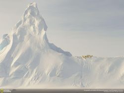 Jepretan Memukau Jawara NatGeo Traveler 2016