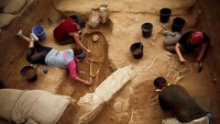 Penggalian sendiri telah berjalan sekitar 30 tahun yang dilakukan lembaga Leon Levy Expedition. Amir Cohen/Reuters/detikFoto