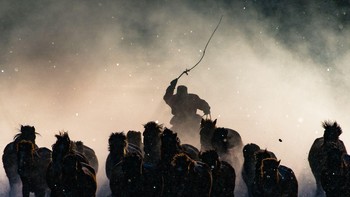 Winter Horseman jepretan karya fotografer Anthony Lau menyabet titel juara utama. Foto ini diambil di Mongolia, saat terjadi musim dingin yang sangat menusuk mencapai suhu hingga minus 20 derajat. Sebagai juara utama, Lau berkesempatan jalan-jalan selama 7 hari dan foto bareng dengan beruang kutub. Foto: National Geographic Traveller 2016