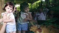 Gempi yang lahir pada 16 Januari 2015 itu tampak cute bak boneka saat berpose mengikuti ikan di akuarium.(Instagram/gisel_la)