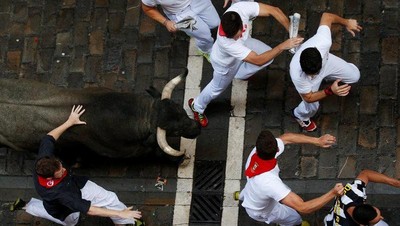 Potret Festival Dikejar Banteng yang Menegangkan di Spanyol