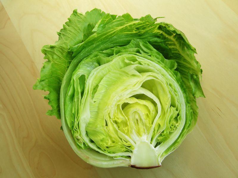 Ini 10 Sayuran Hijau dengan Nutrisi Paling Hebat 2 Ini 10 Sayuran Hijau dengan Nutrisi Paling Hebat 2