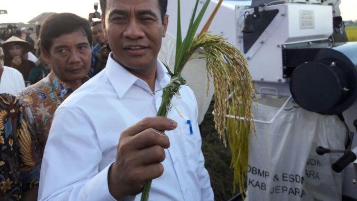 Mentan Tak Terima Dianggap Tak Konsisten Soal Impor Jeroan