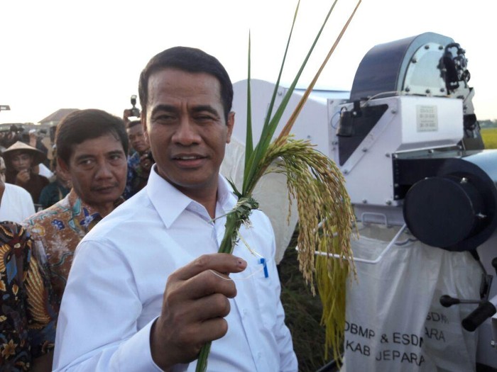 Panen Padi di Jepara, Mentan: Tak Ada Lagi Cerita Musim Paceklik di RI