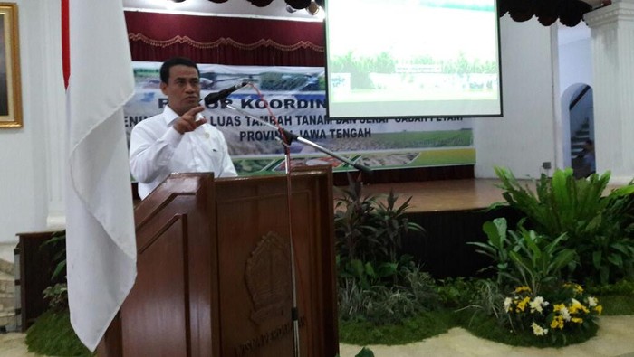 Dikritik Soal Impor Jeroan, Ini Respons Mentan