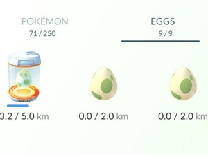 Harus Menetaskan Berapa Butir Telur Pokemon untuk Bisa Langsing?