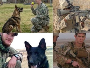 Anjing Tentara AS di Afghanistan Mendapat Medali Keberanian